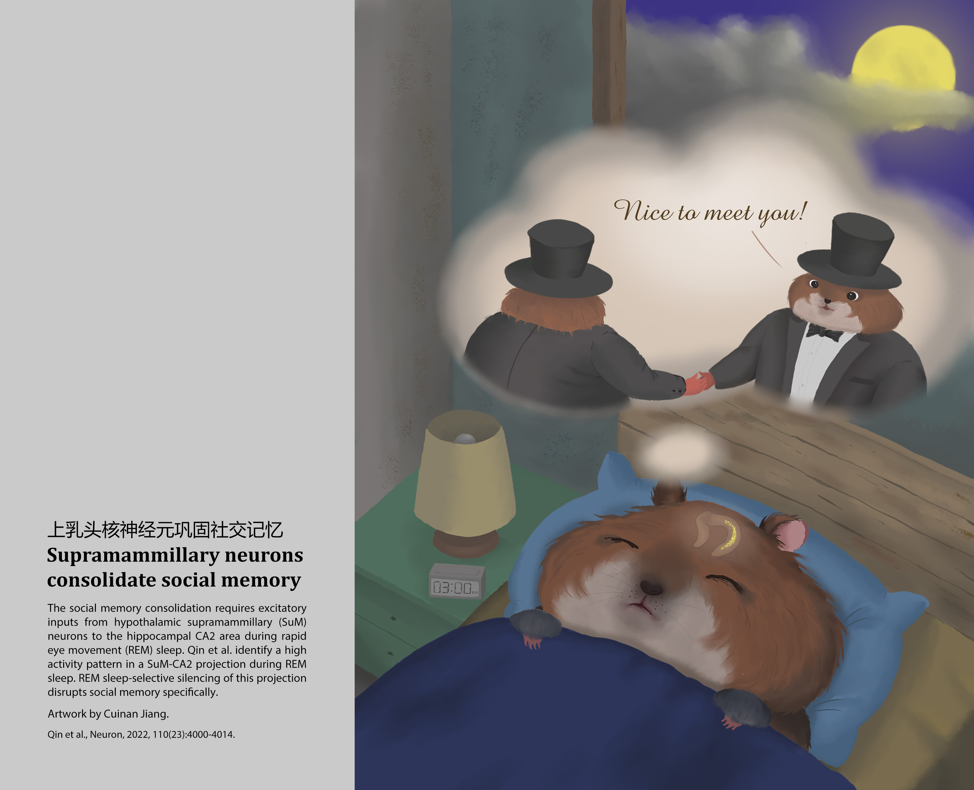 Social Memory